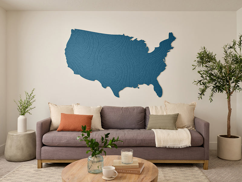 Topographic US Map Wall Art