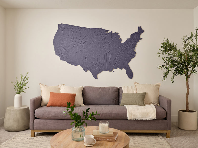 Topographic US Map Wall Art