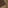 wood ceiling bid_small