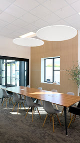 Two white circular acoustic panels with ribbed wood sides suspended from ceiling in office meeting room.
