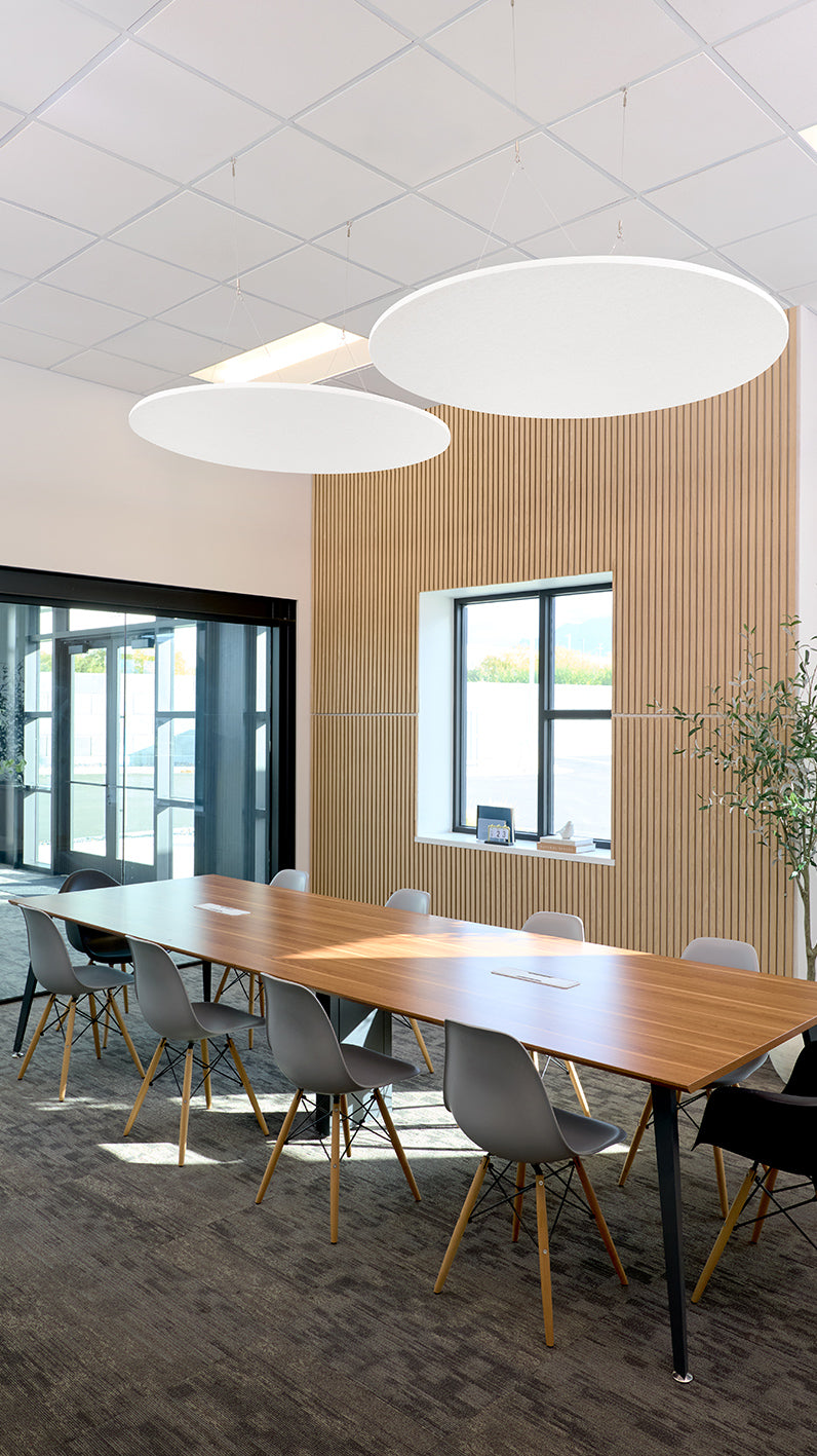 Flat Circle Cloud Baffles