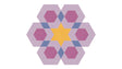 Blossom Purples