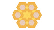 Blossom Citrine