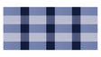 Buffalo Check Blues