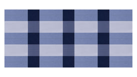 Buffalo Check Blues