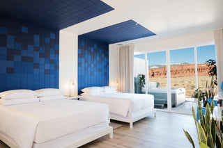 Fin Ceiling Cloud Baffle | felt right