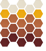 Honeycomb pattern with beige, orange, and brown hexagons arranged in rows with white gaps.