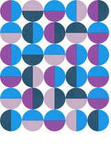 Grid of 30 circles in blue, purple, and teal, each divided into colored segments.