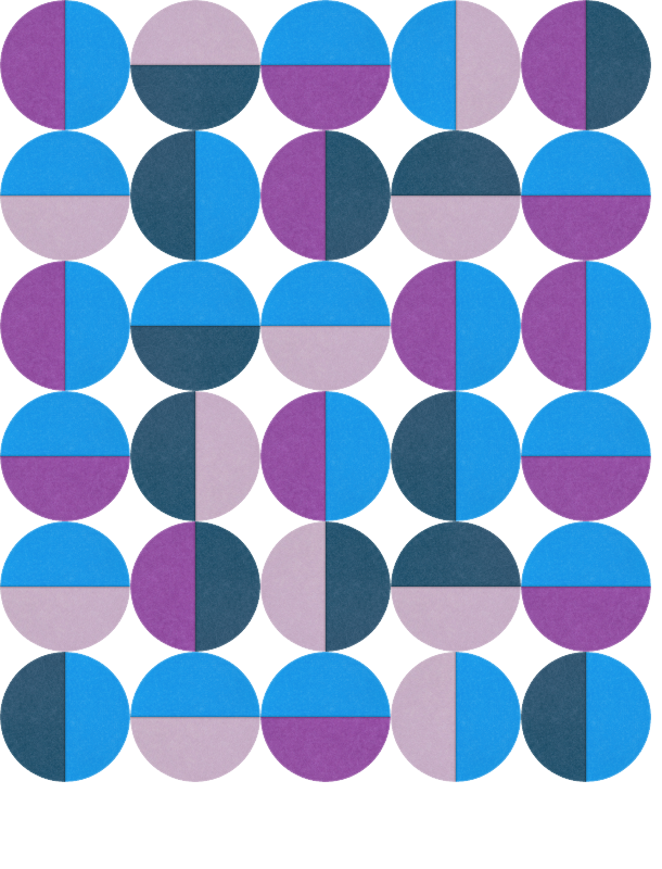 Grid of 30 circles in blue, purple, and teal, each divided into colored segments.