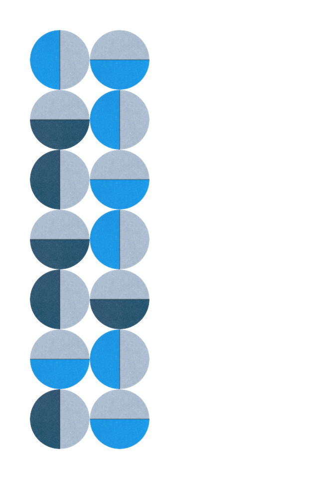 Two-column arrangement of blue and gray circles divided into geometric sections in varying shades.