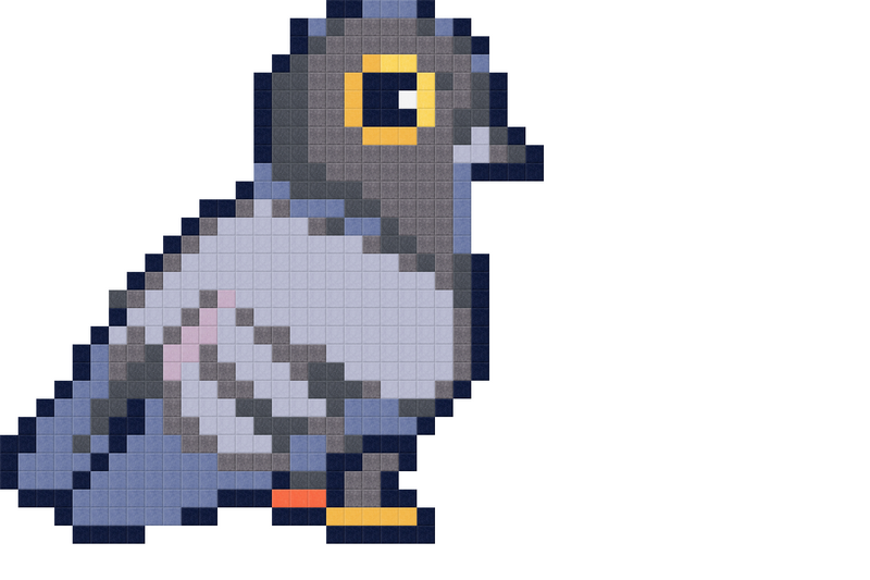 Pidgeon Design