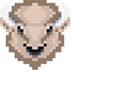Bison Design