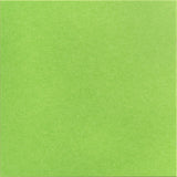 Fresh Lime Large Square