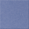 Periwinkle Blank