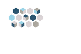 hex Design